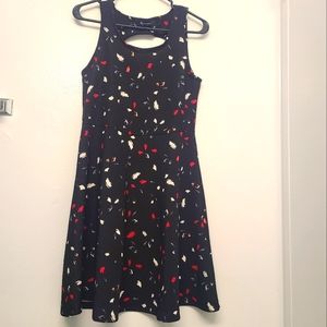 Lily Morgan Black Dress